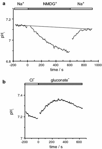 Fig. 15