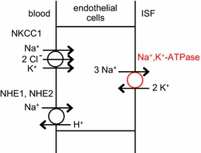 Fig. 12