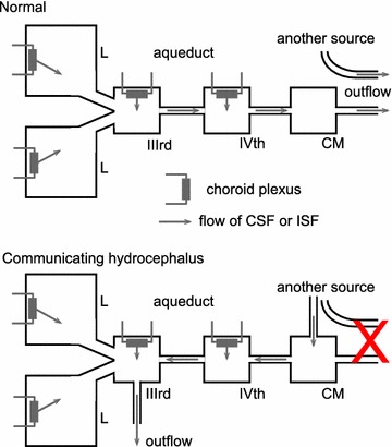 Fig. 9