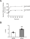 Figure 6—figure supplement 1.
