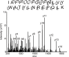 Figure 4—figure supplement 2.