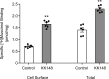 Figure 1—figure supplement 1.