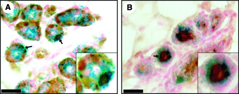 FIG. 5.