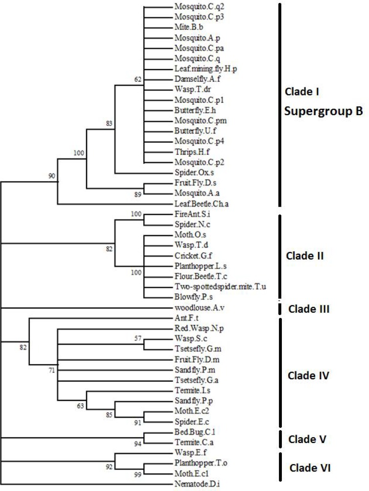 Fig. 3.