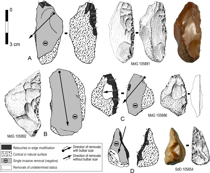 Fig 7