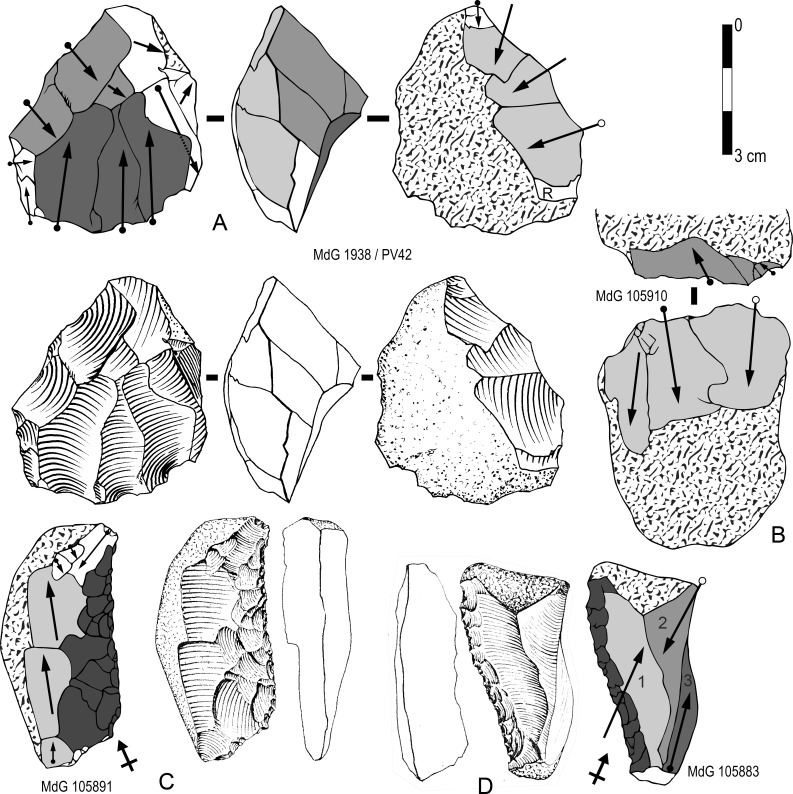 Fig 11