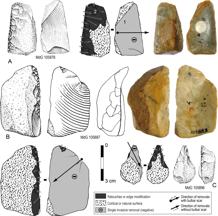 Fig 6