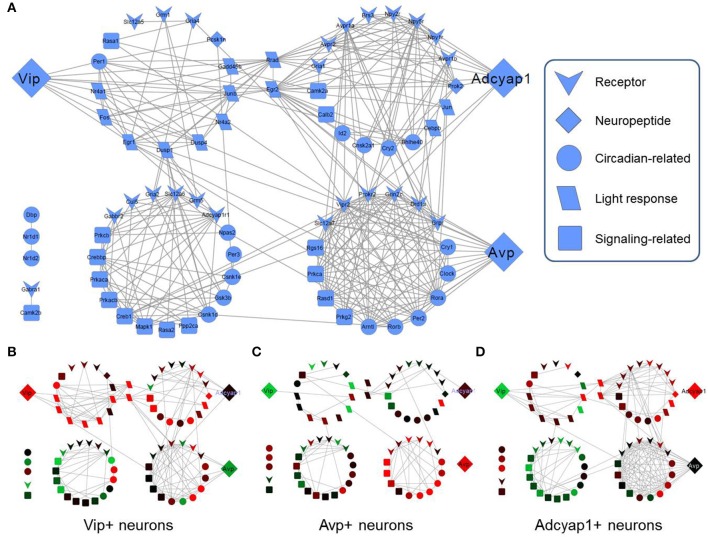 Figure 4