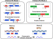 Graphical Abstract