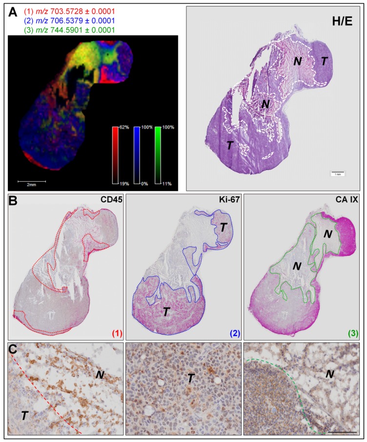 Figure 3.