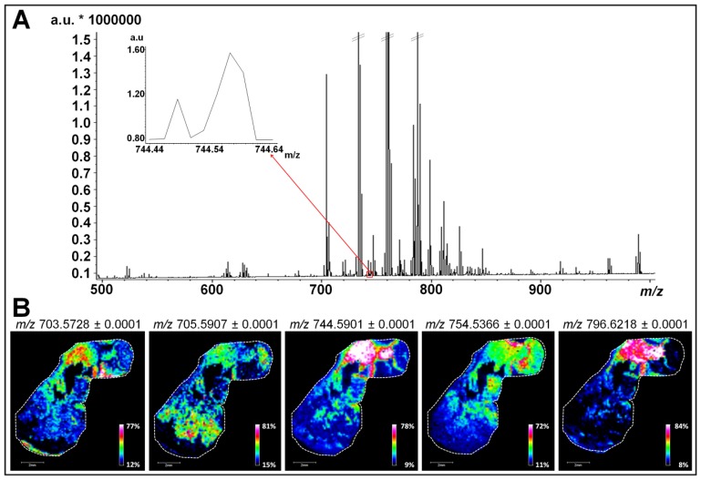 Figure 2.