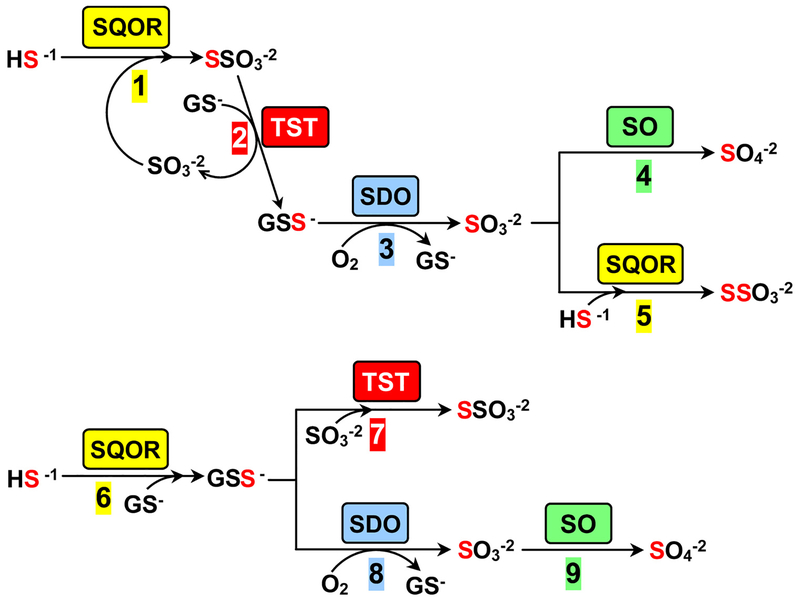 Scheme 1