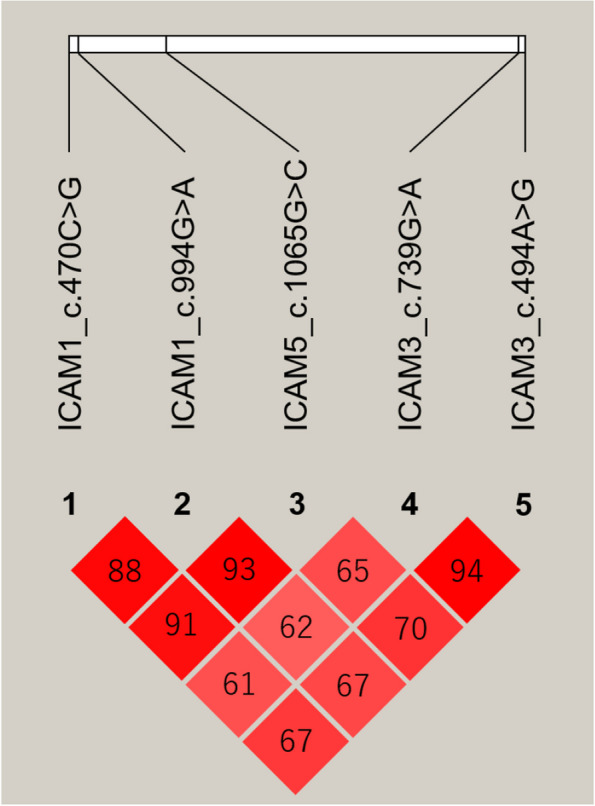 Fig. 2