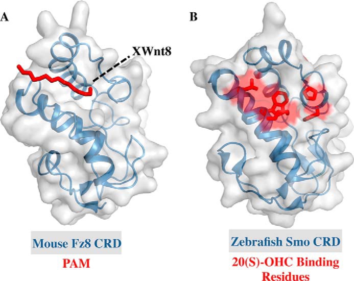 FIGURE 3.