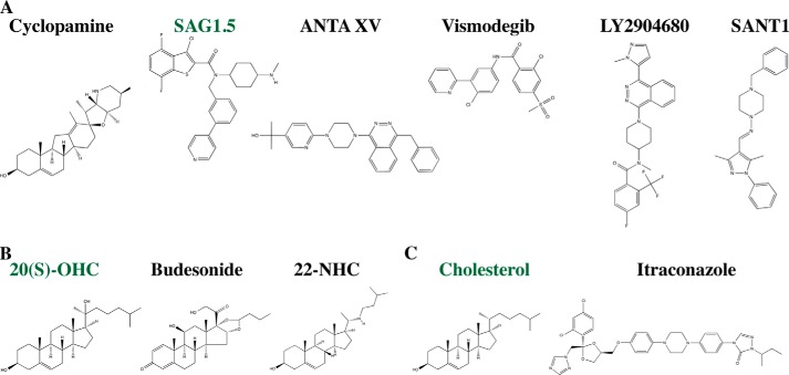 FIGURE 4.