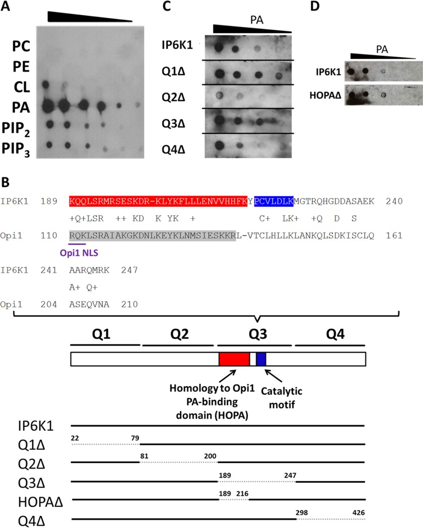 FIGURE 4.