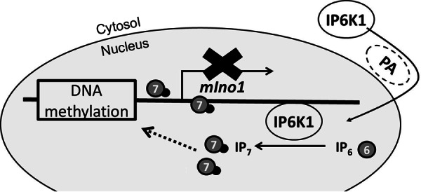 FIGURE 7.