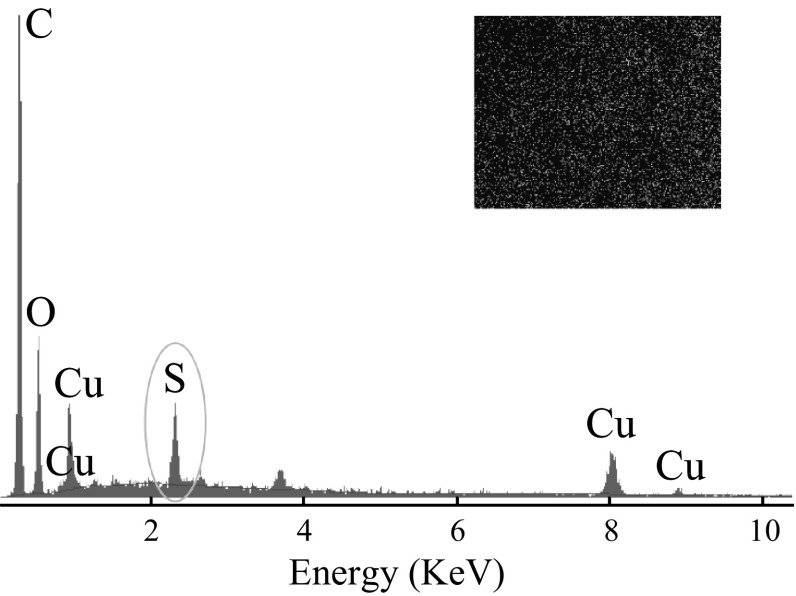 Fig. 7