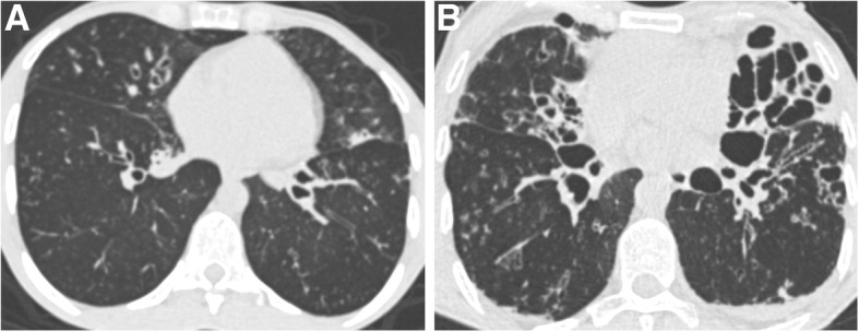 Fig. 5