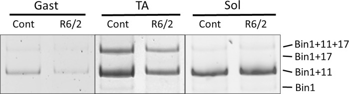 Figure 11.