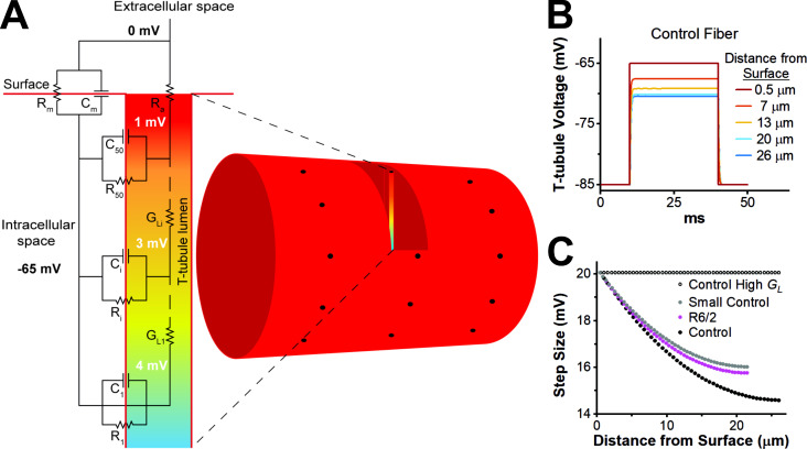 Figure 7.