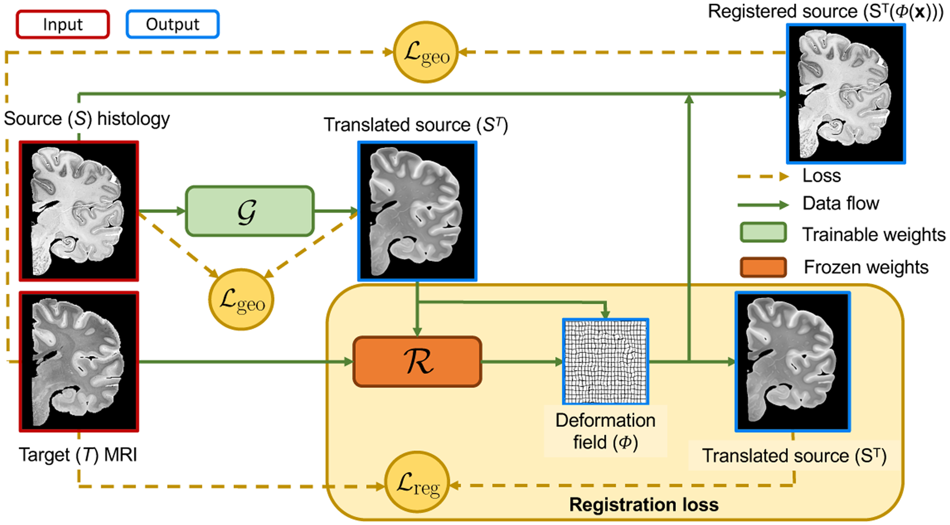 Fig. 1.