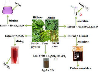 Fig. 6