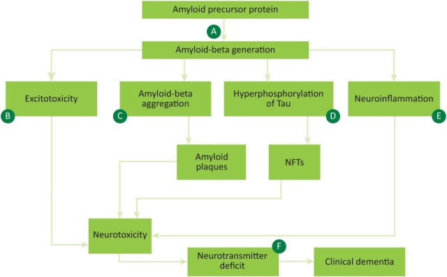 Fig 1.