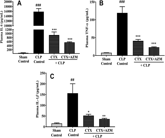 FIG 4