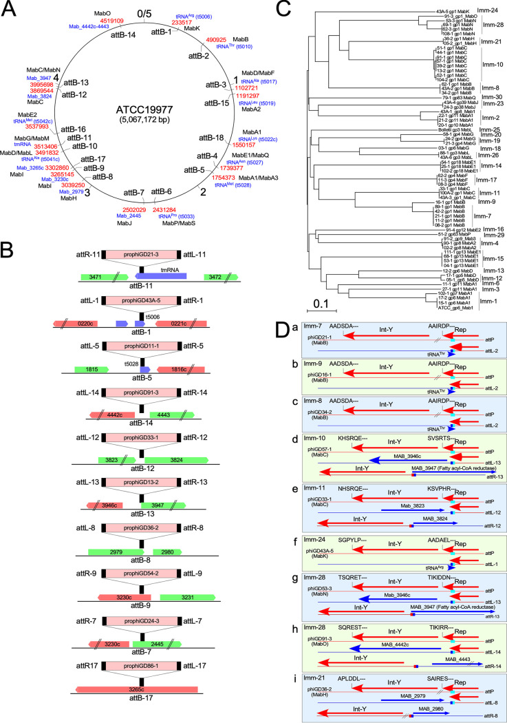 FIG 3