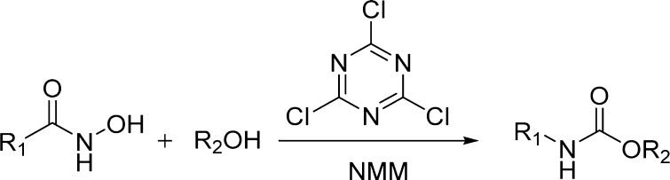 Scheme 20