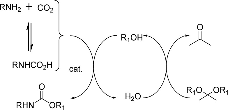 Scheme 5