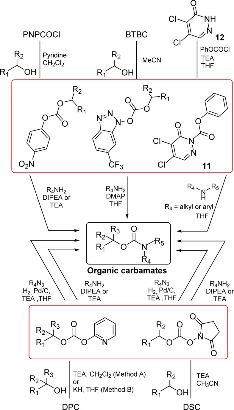 Scheme 2