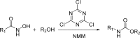 Scheme 20