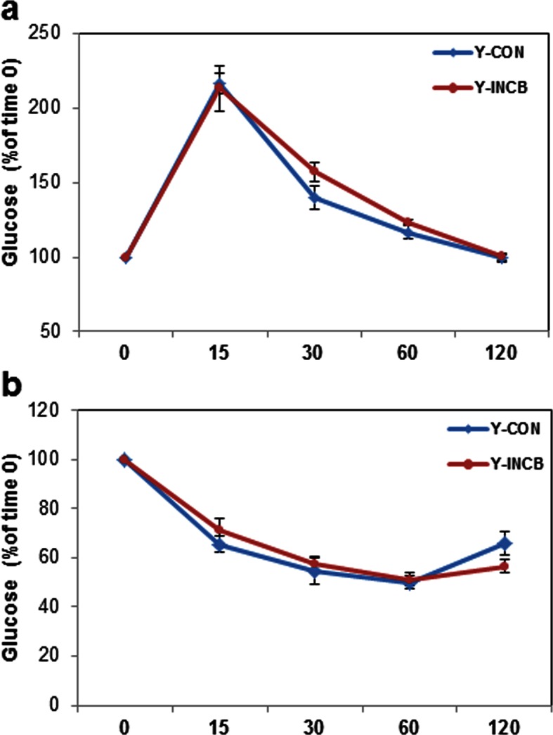 Figure 8—figure supplement 1.