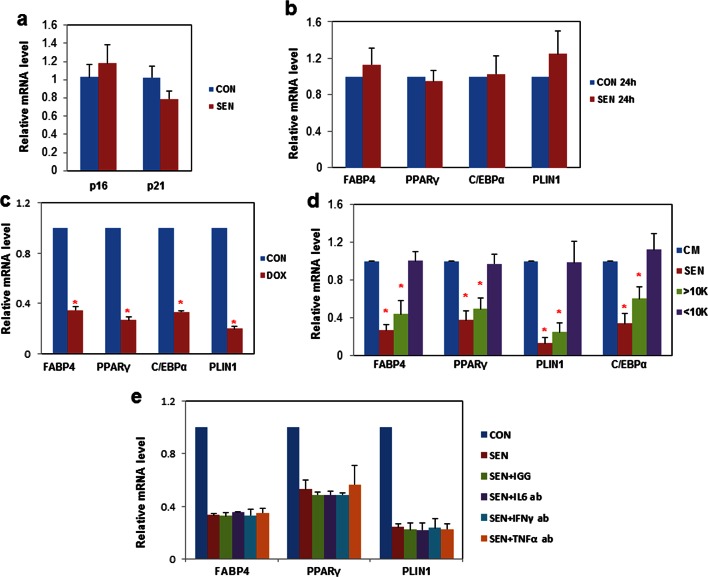 Figure 2—figure supplement 1.