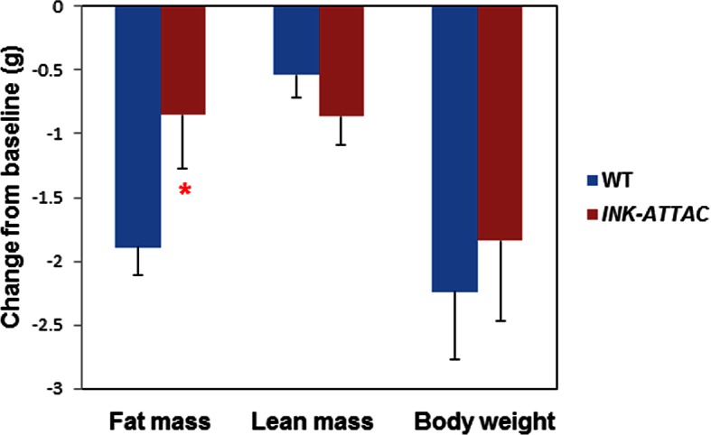 Figure 4—figure supplement 2.