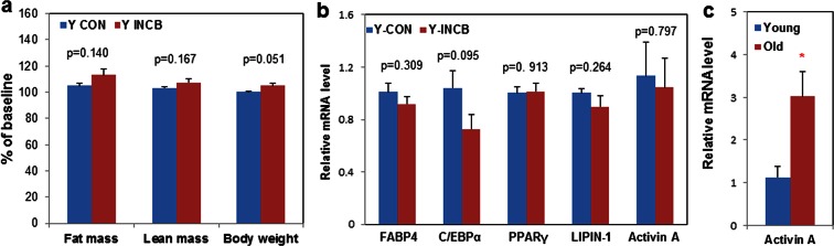 Figure 6—figure supplement 2.