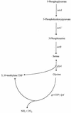 FIG. 1