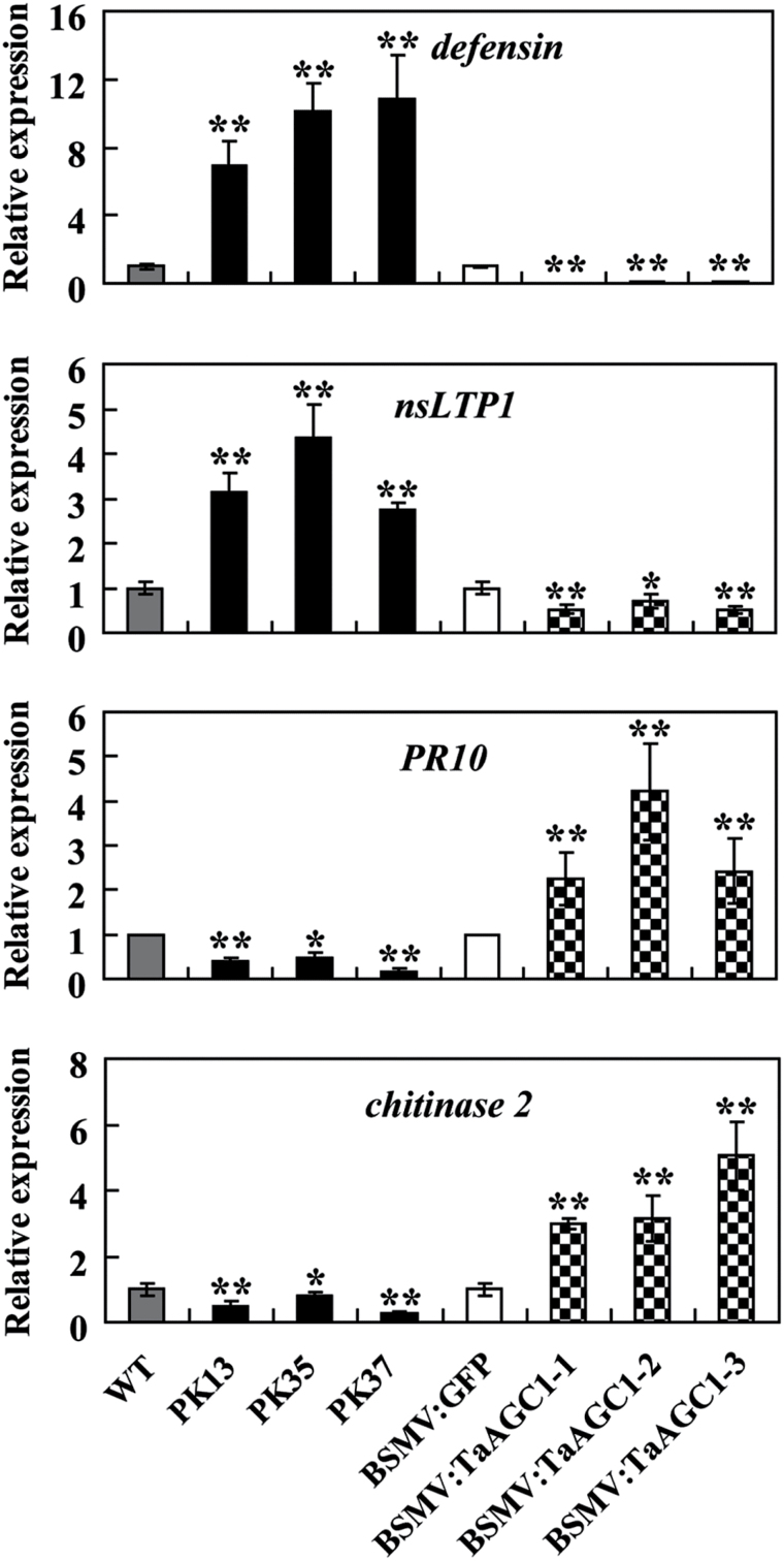 Fig. 8.