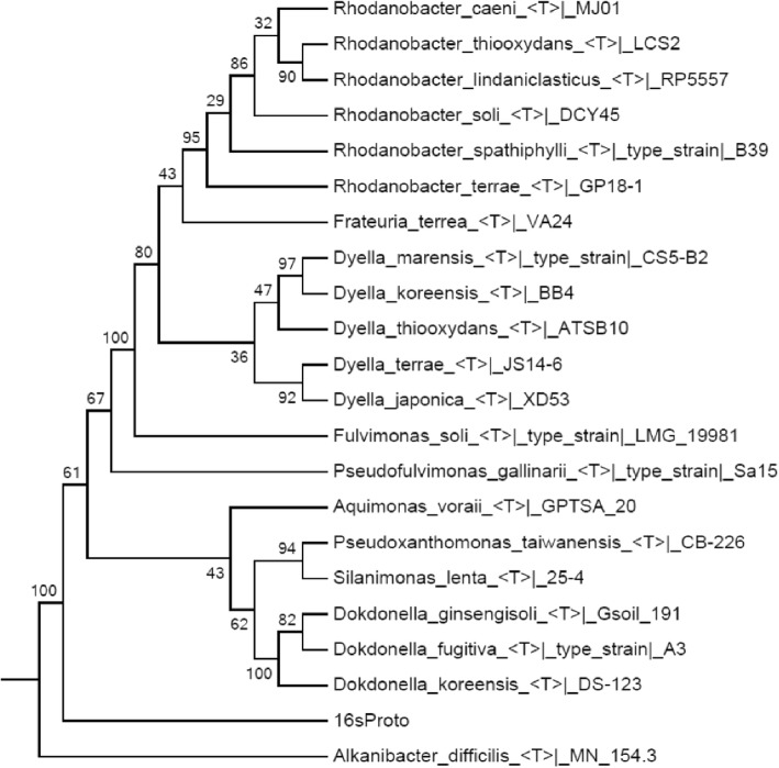 Fig. 13