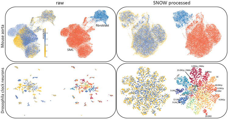 Figure 2: