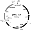 FIG. 1.