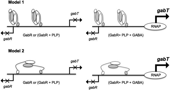 Fig. 7.