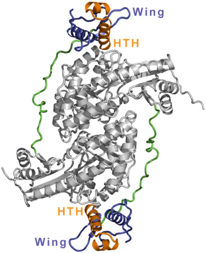 Fig. 2.