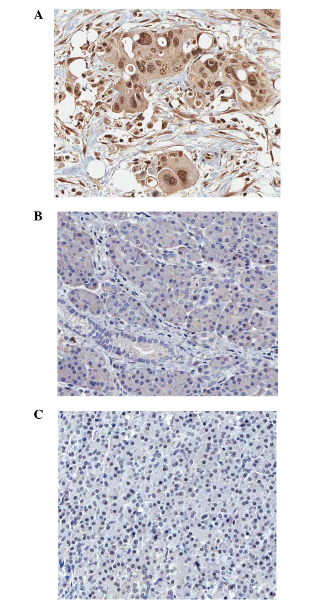 Figure 1.