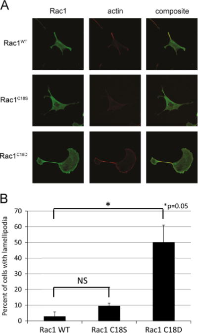 Fig. 9