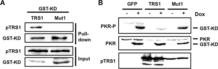 FIG 4