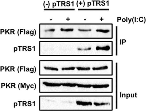 FIG 3