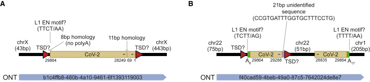 Figure 1